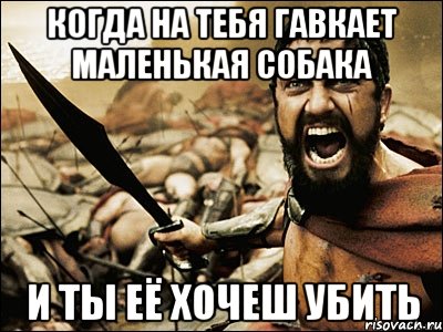 когда на тебя гавкает маленькая собака и ты её хочеш убить, Мем Это Спарта