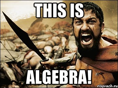 THIS IS ALGEBRA!, Мем Это Спарта