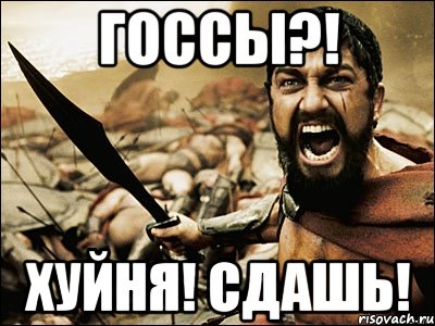 ГОССЫ?! хуйня! Сдашь!, Мем Это Спарта