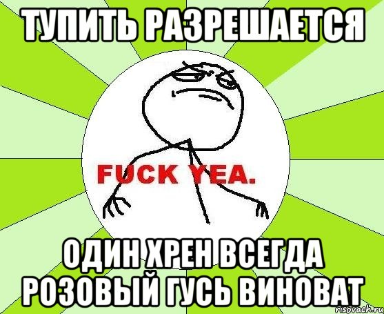 тупить разрешается Один хрен всегда розовый гусь виноват, Мем фак е