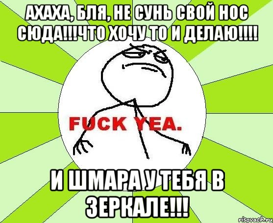 ахаха, бля, не сунь свой нос сюда!!!что хочу то и делаю!!!! и шмара у тебя в зеркале!!!, Мем фак е