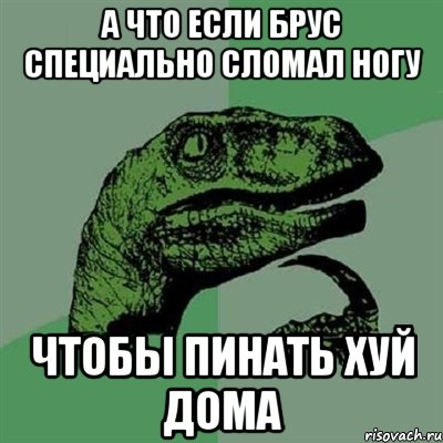 а что если брус специально сломал ногу чтобы пинать хуй дома, Мем Филосораптор