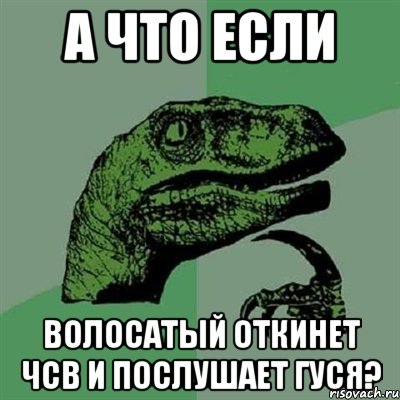 А что если Волосатый откинет Чсв и послушает гуся?, Мем Филосораптор