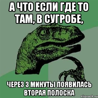 а что если где то там, в сугробе, через 3 минуты появилась вторая полоска, Мем Филосораптор