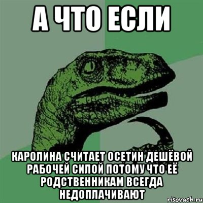 А ЧТО ЕСЛИ КАРОЛИНА СЧИТАЕТ ОСЕТИН ДЕШЁВОЙ РАБОЧЕЙ СИЛОЙ ПОТОМУ ЧТО ЕЁ РОДСТВЕННИКАМ ВСЕГДА НЕДОПЛАЧИВАЮТ, Мем Филосораптор