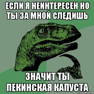 если я неинтересен но ты за мной следишь значит ты пекинская капуста, Мем Филосораптор