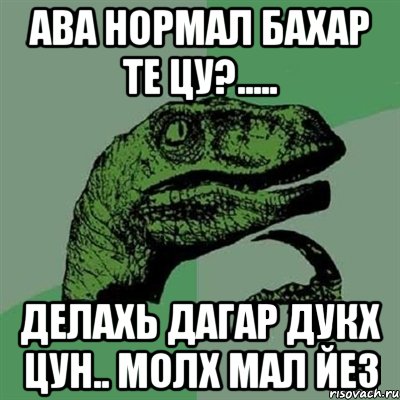 Ава нормал бахар те цу?..... Делахь дагар дукх цун.. молх мал йез, Мем Филосораптор