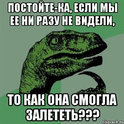 Постойте-ка, если мы ее ни разу не видели, то как она смогла залететь???, Мем Филосораптор