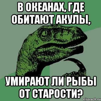 В океанах, где обитают акулы, умирают ли рыбы от старости?, Мем Филосораптор