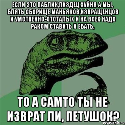 если это паблик,пиздец хуйня а мы, блять сборище маньяков,извращенцов и умственно-отсталых и на всех надо раком ставить и ебать, то а самто ты не изврат ли, петушок?, Мем Филосораптор