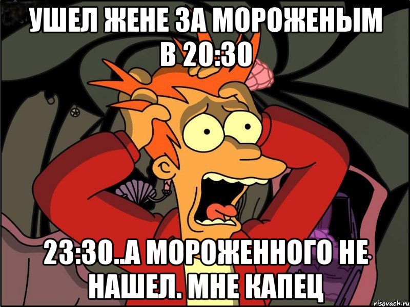 ушел жене за мороженым в 20:30 23:30..а мороженного не нашел. Мне капец, Мем Фрай в панике