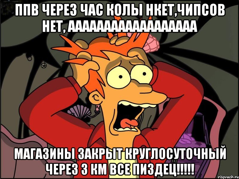 Ппв через час колы нкет,чипсов нет, АААААААААААААААААА Магазины закрыт круглосуточный через 3 км ВСЕ ПИЗДЕЦ!!!!!, Мем Фрай в панике