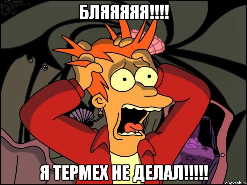 бляяяяя!!!! я термех не делал!!!!!, Мем Фрай в панике