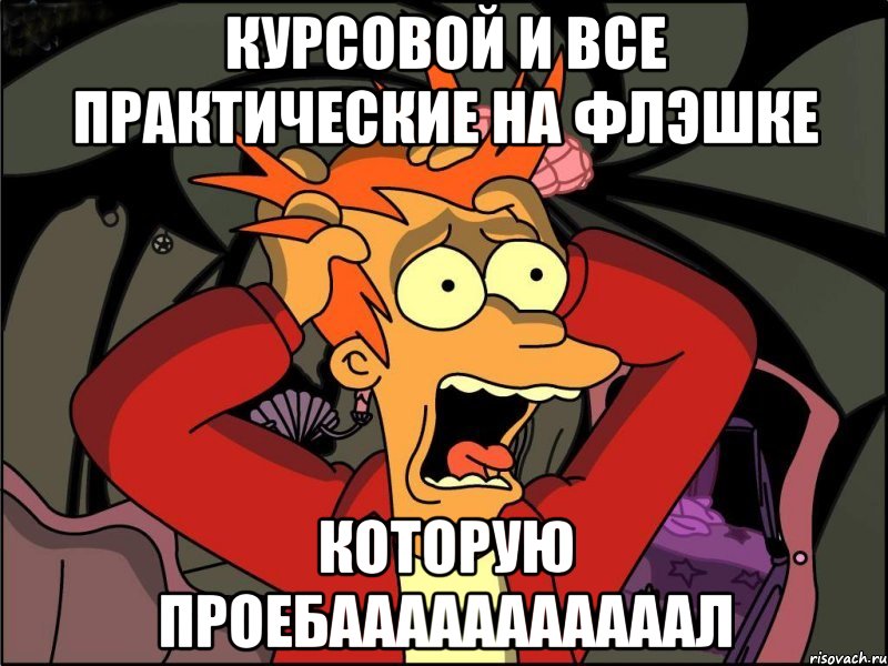 Курсовой и все практические на флэшке которую проебааааааааааал, Мем Фрай в панике