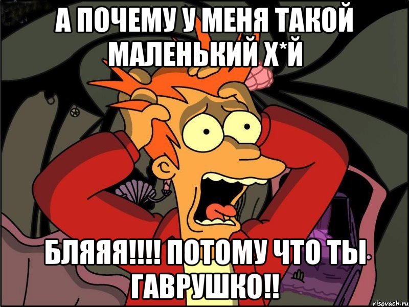 а почему у меня такой маленький Х*й бляяя!!!! потому что ты Гаврушко!!, Мем Фрай в панике