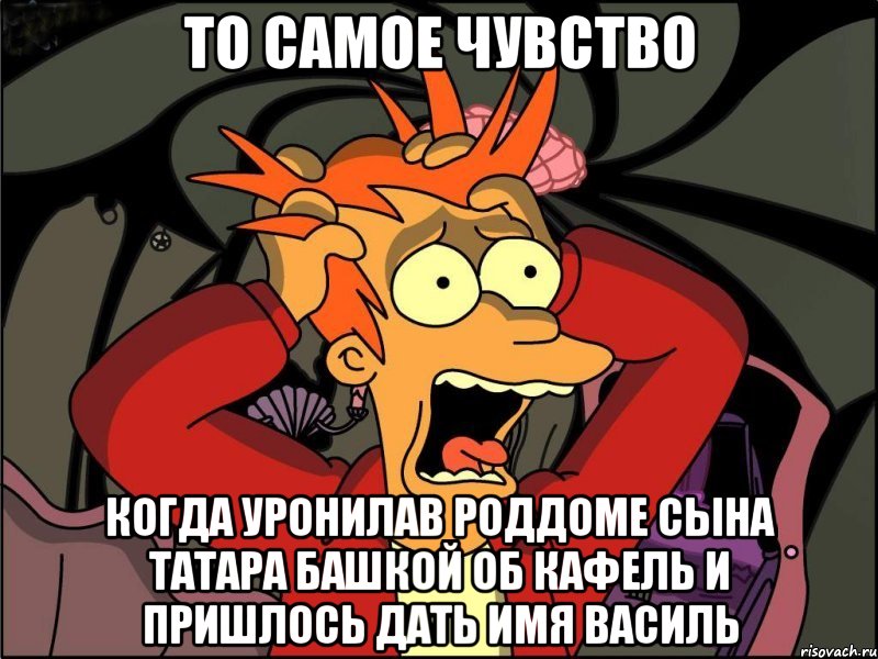 То самое чувство Когда уронилав роддоме сына татара башкой об кафель и пришлось дать имя василь, Мем Фрай в панике