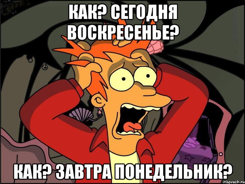 Как? сегодня воскресенье? Как? завтра понедельник?, Мем Фрай в панике