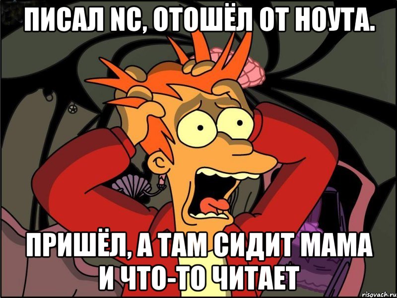 писал NC, отошёл от ноута. пришёл, а там сидит мама и что-то читает, Мем Фрай в панике