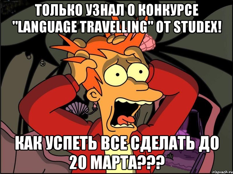 Только узнал о конкурсе "Language Travelling" от Studex! Как успеть все сделать до 20 марта???, Мем Фрай в панике