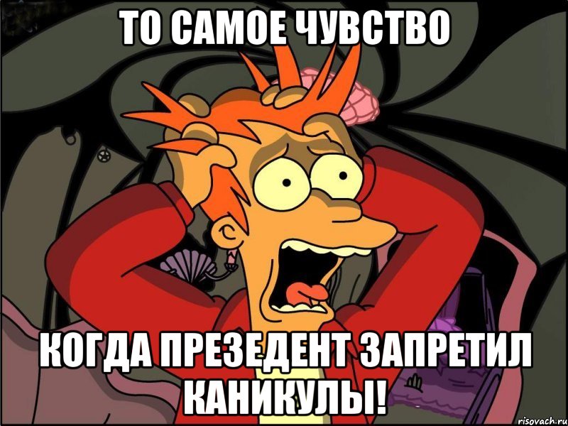 То самое чувство Когда презедент запретил каникулы!, Мем Фрай в панике