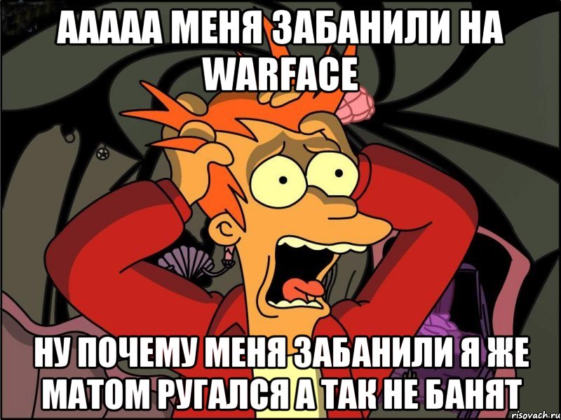 ааааа меня забанили на warface ну почему меня забанили я же матом ругался а так не банят, Мем Фрай в панике