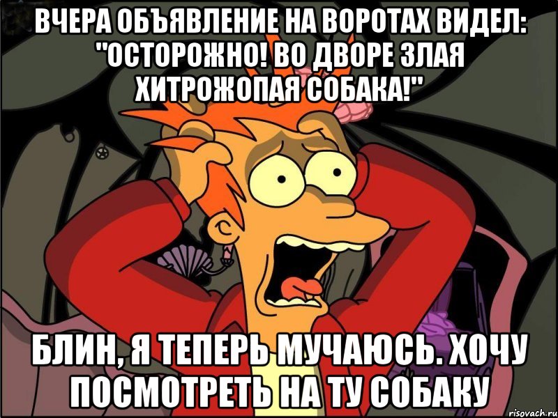 ВЧЕРА ОБЪЯВЛЕНИЕ НА ВОРОТАХ ВИДЕЛ: "ОСТОРОЖНО! ВО ДВОРЕ ЗЛАЯ ХИТРОЖОПАЯ СОБАКА!" БЛИН, Я ТЕПЕРЬ МУЧАЮСЬ. ХОЧУ ПОСМОТРЕТЬ НА ТУ СОБАКУ, Мем Фрай в панике