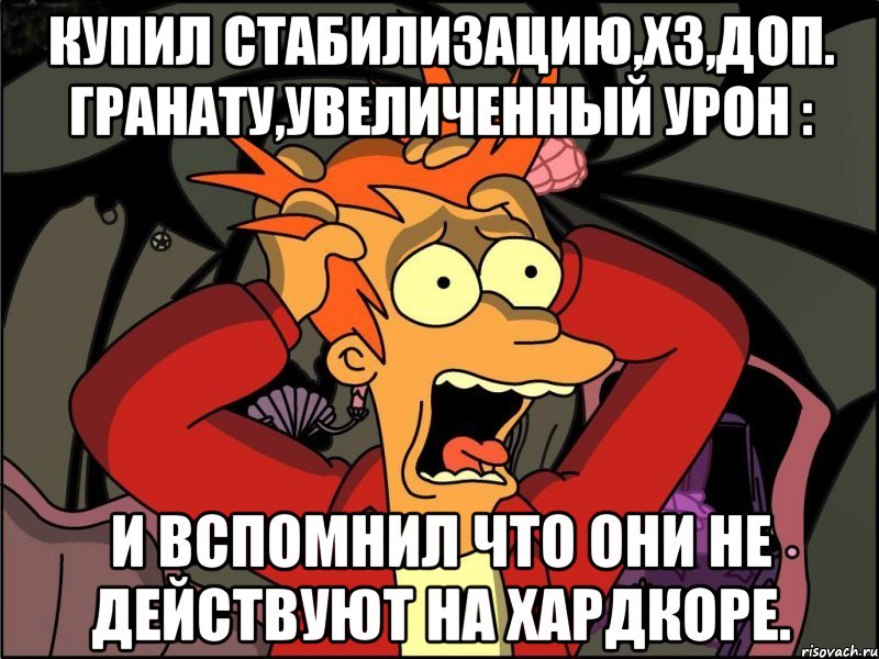 Купил стабилизацию,х3,доп. гранату,увеличенный урон : И вспомнил что они не действуют на хардкоре., Мем Фрай в панике