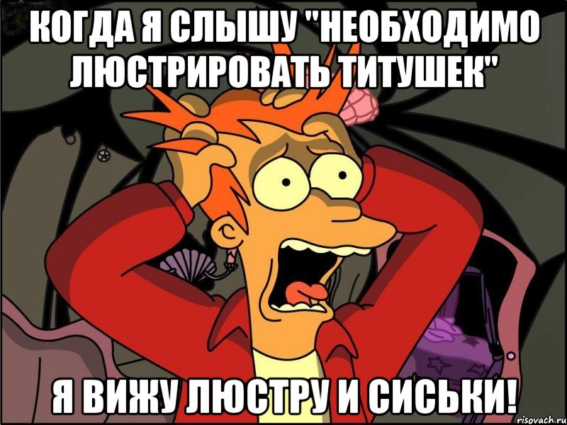 Когда я слышу "необходимо люстрировать титушек" я вижу люстру и сиськи!, Мем Фрай в панике