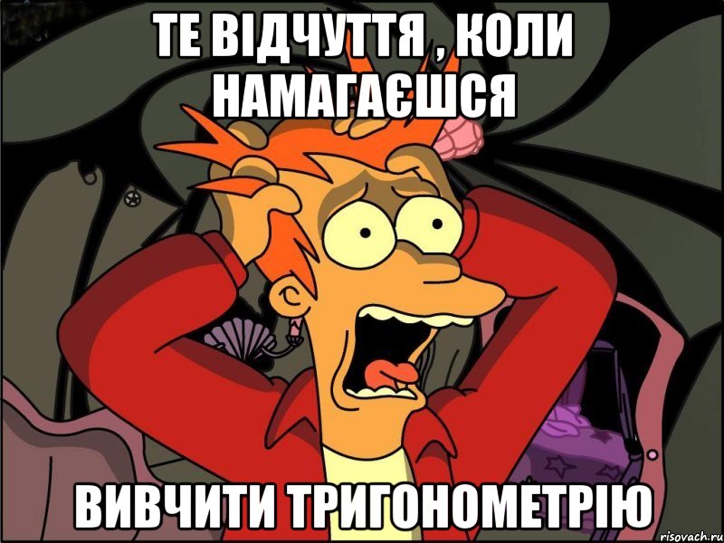 Те відчуття , коли намагаєшся вивчити тригонометрію, Мем Фрай в панике