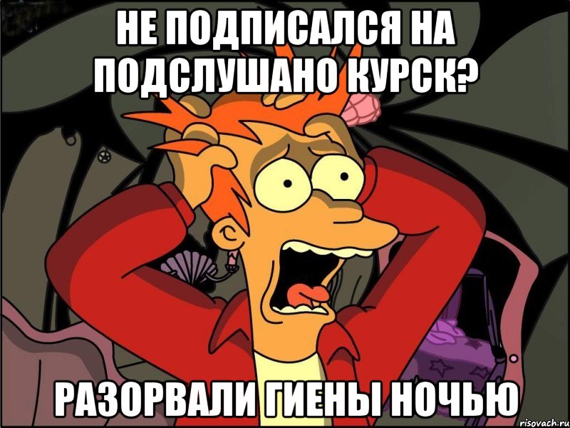 Не подписался на Подслушано Курск? Разорвали гиены ночью, Мем Фрай в панике