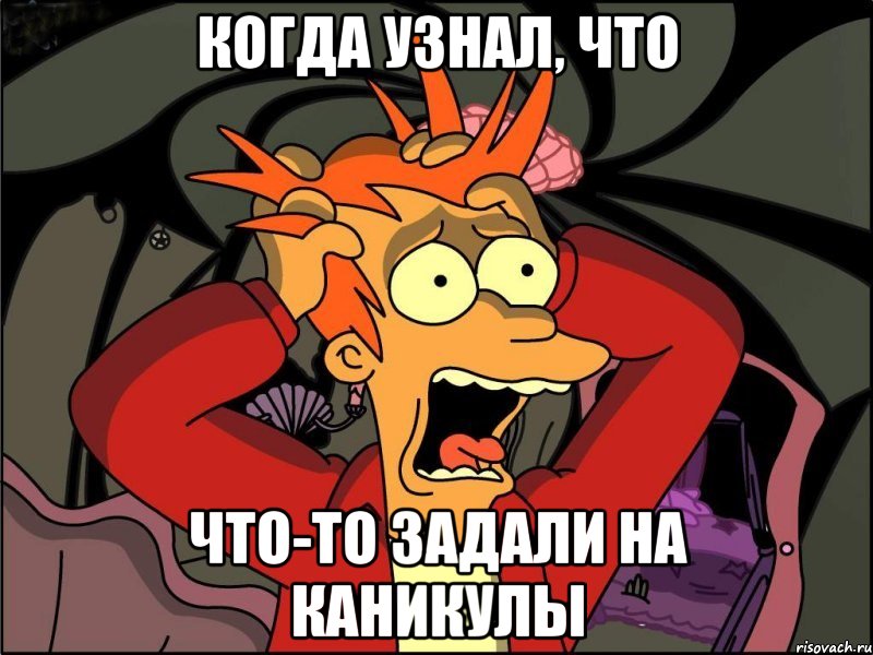 Когда узнал, что Что-то задали на каникулы, Мем Фрай в панике