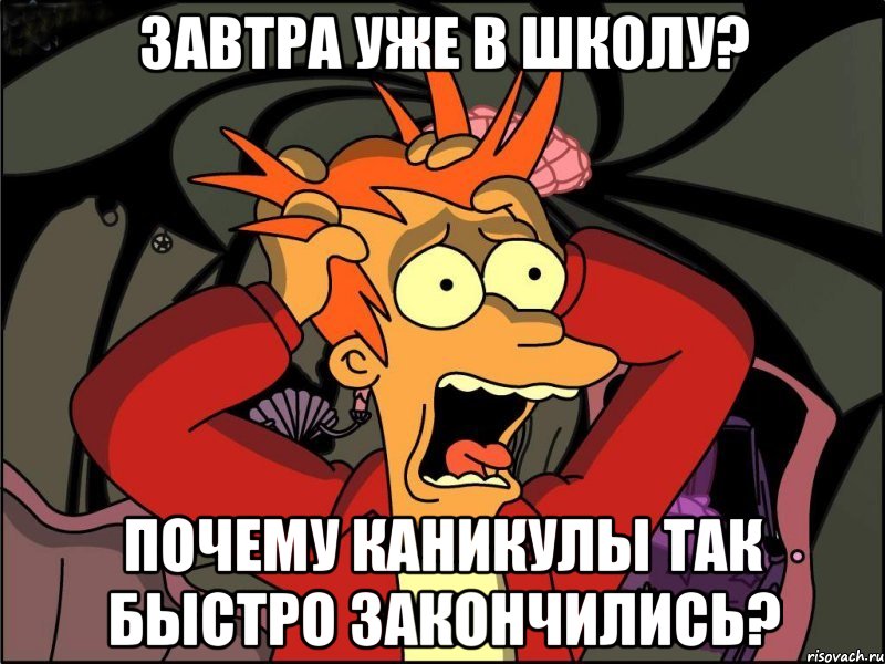 ЗАВТРА УЖЕ В ШКОЛУ? ПОЧЕМУ КАНИКУЛЫ ТАК БЫСТРО ЗАКОНЧИЛИСЬ?, Мем Фрай в панике