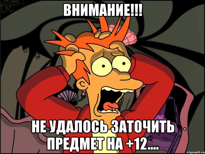 ВНИМАНИЕ!!! не удалось заточить предмет на +12...., Мем Фрай в панике