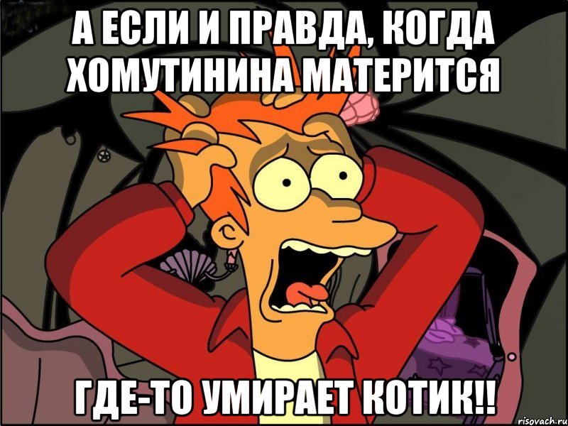 А если и правда, когда Хомутинина матерится Где-то умирает котик!!, Мем Фрай в панике