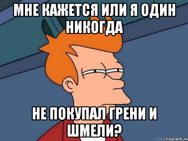 мне кажется или я один никогда не покупал грени и шмели?, Мем  Фрай (мне кажется или)