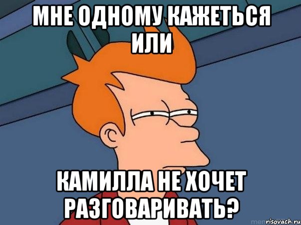 Мне одному кажеться или Камилла не хочет разговаривать?, Мем  Фрай (мне кажется или)