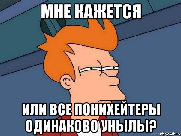 мне кажется или все понихейтеры одинаково унылы?, Мем  Фрай (мне кажется или)