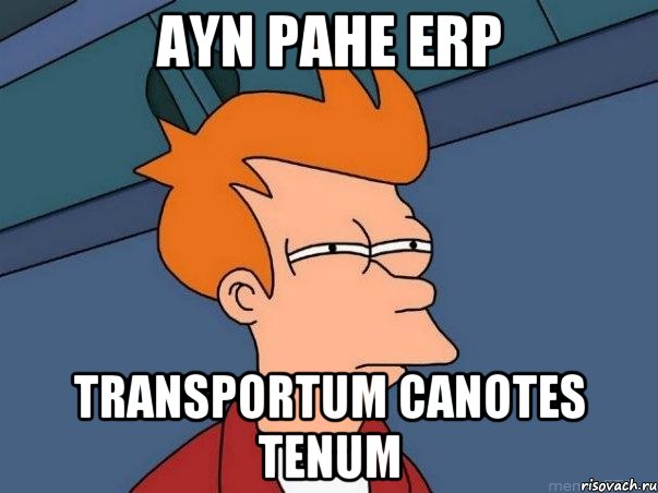 ayn pahe erp transportum canotes tenum, Мем  Фрай (мне кажется или)