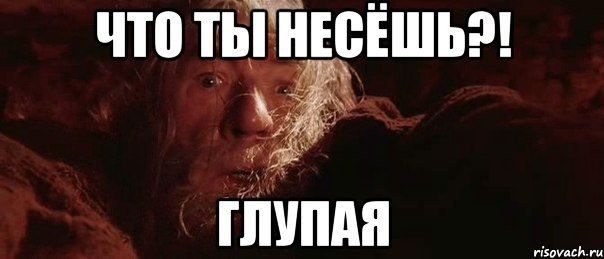 что ты несёшь?! глупая