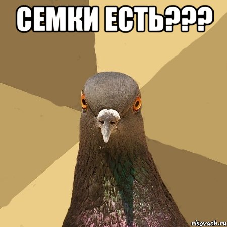 СЕМКИ ЕСТЬ??? , Мем голубь