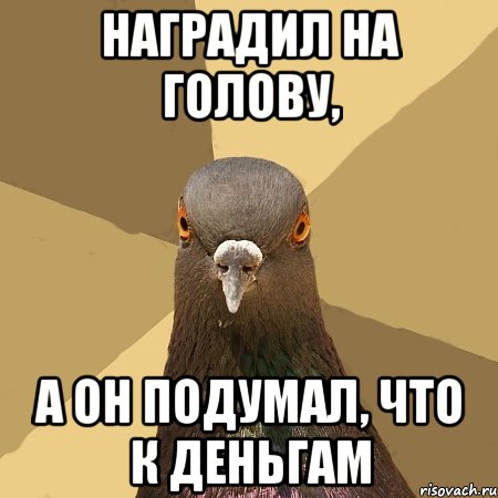 Наградил на голову, А он подумал, что к деньгам, Мем голубь