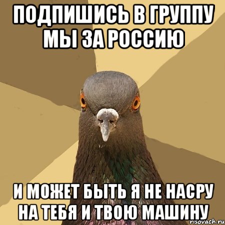 подпишись в группу мы за россию и может быть я не насру на тебя и твою машину, Мем голубь