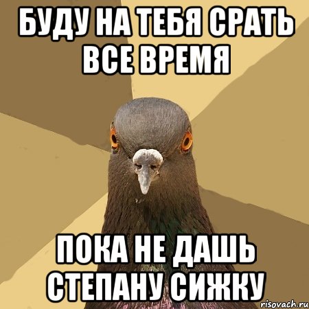 буду на тебя срать все время пока не дашь степану сижку, Мем голубь