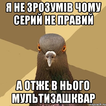 Я не зрозумів чому Серий не правий А отже в нього мультизашквар, Мем голубь