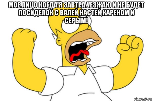 Мое лицо когда я завтра уезжаю и не будет посиделок с Валей,Настей,Кареном и Серым! , Мем Разъяренный Гомер