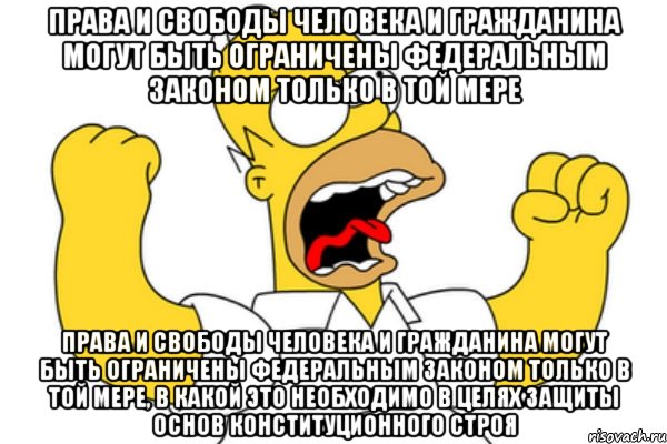 Права и свободы человека и гражданина могут быть ограничены федеральным законом только в той мере Права и свободы человека и гражданина могут быть ограничены федеральным законом только в той мере, в какой это необходимо в целях защиты основ конституционного строя, Мем Разъяренный Гомер