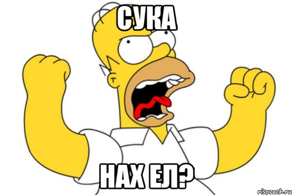 Сука Нах ел?, Мем Разъяренный Гомер