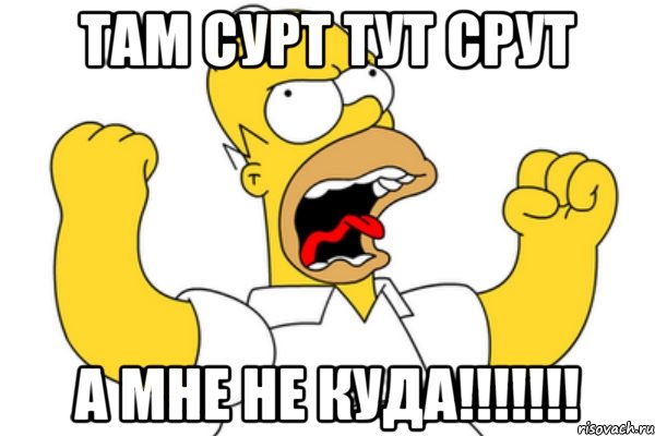 ТАМ СУРТ ТУТ СРУТ А МНЕ НЕ КУДА!!!!!!!, Мем Разъяренный Гомер