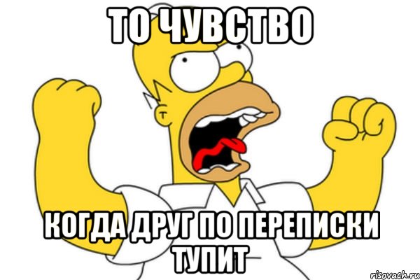 то чувство когда друг по переписки тупит, Мем Разъяренный Гомер