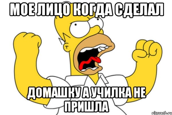 Мое лицо когда сделал Домашку а училка не пришла, Мем Разъяренный Гомер